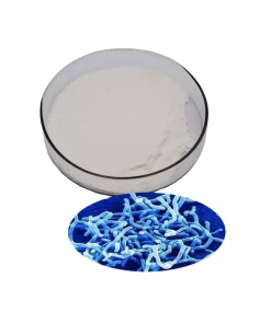 Bifidobacterium lactis BL03